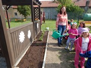 Zakládáme bylinkovou zahrádku